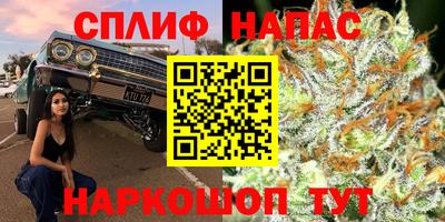 винт Партизанск