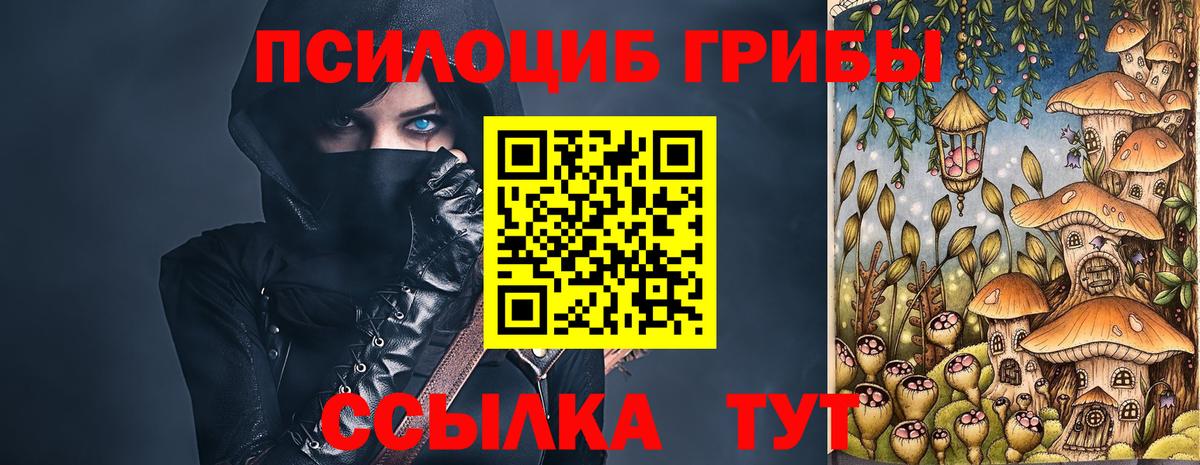 Алексеевка  Галлюциногенные грибы прущие грибы  Галлюциногенные грибы MAGIC MUSHROOMS  купить  цена  Вход с VPN 